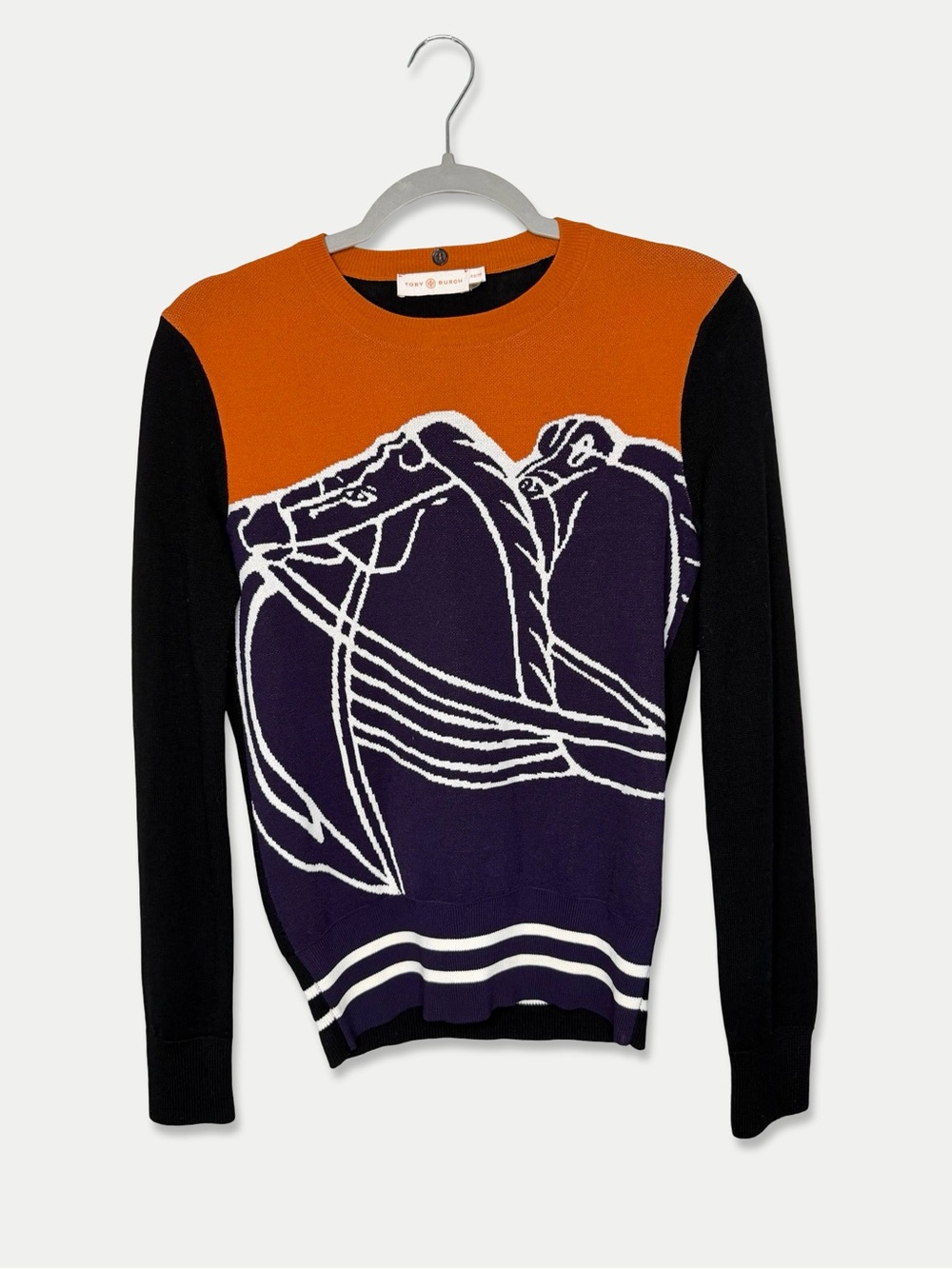 !RARE! RUNWAY Tory Burch Sweater Size XS Equestrian Multicolor GUC